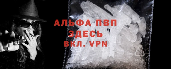 трава Белокуриха
