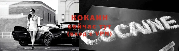 трава Белокуриха
