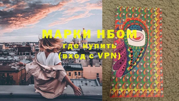 трава Белокуриха
